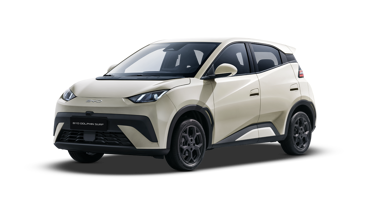 BYD DOLPHIN SURF Boost