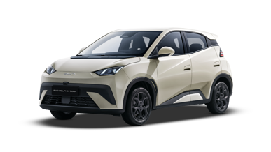 BYD DOLPHIN SURF Boost