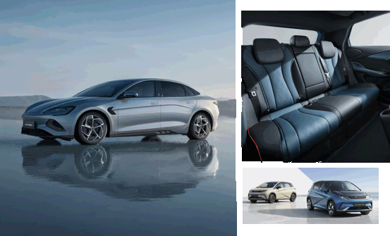 Køb en brugt BYD eller en ny