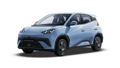 BYD DOLPHIN SURF Active